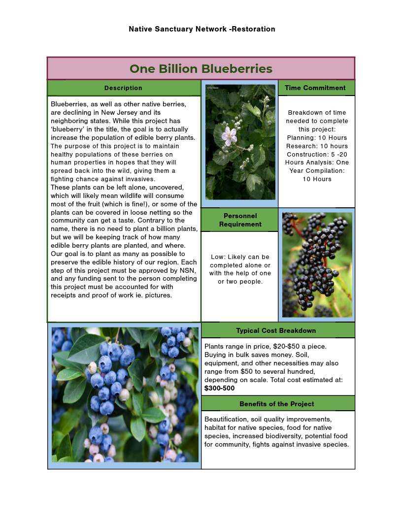 Bushel of blueberries